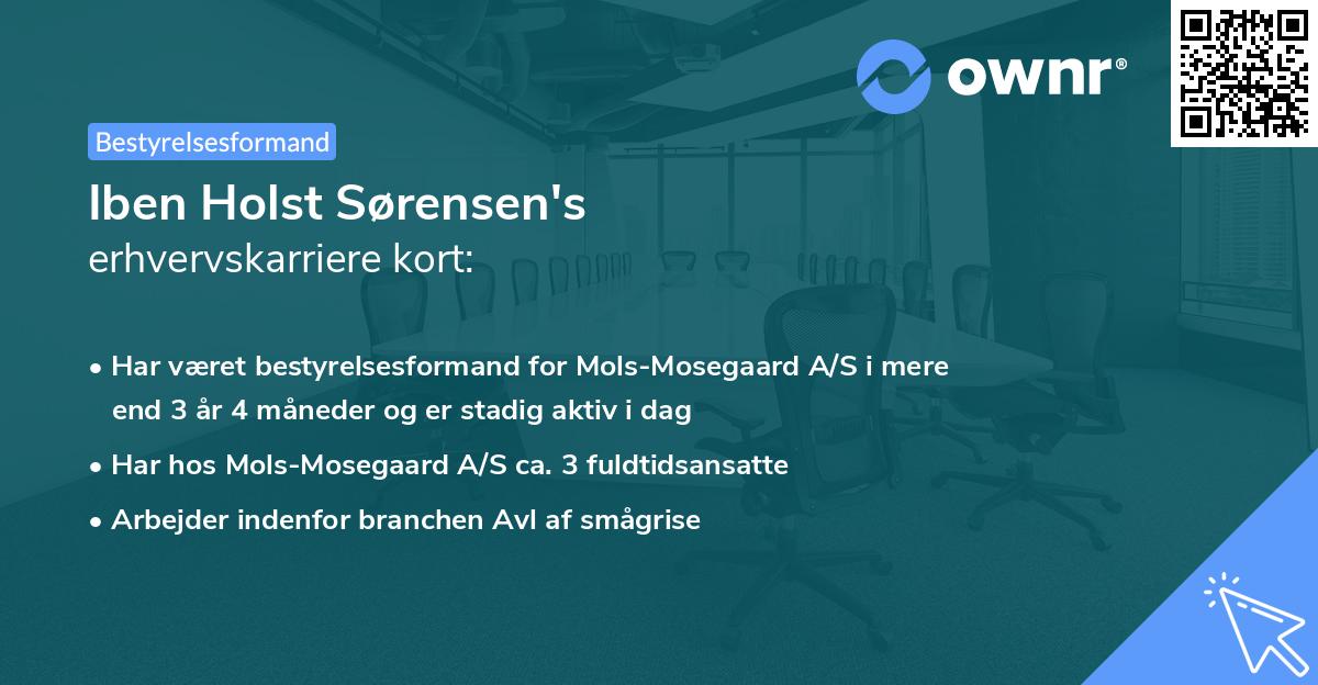 Iben Holst Sørensen's erhvervskarriere kort
