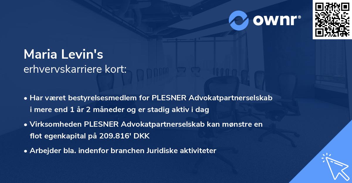 Maria Levin's erhvervskarriere kort