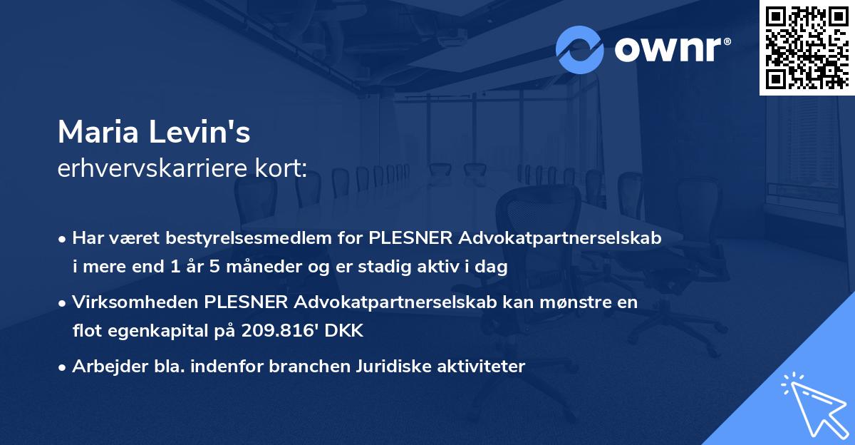 Maria Levin's erhvervskarriere kort