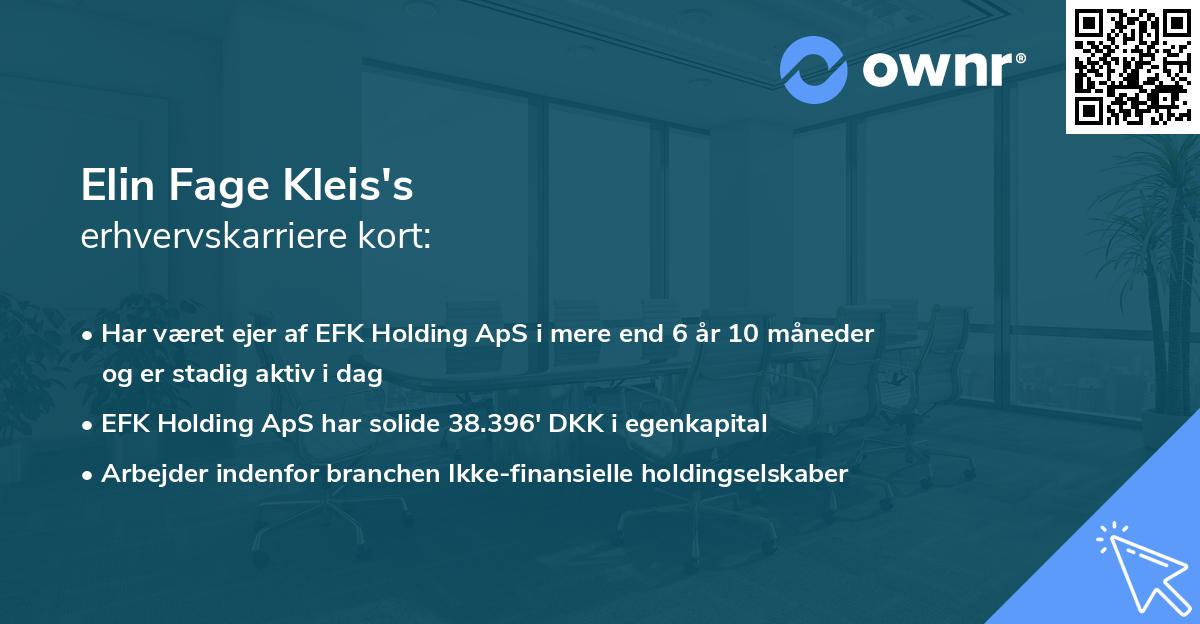Elin Fage Kleis's erhvervskarriere kort