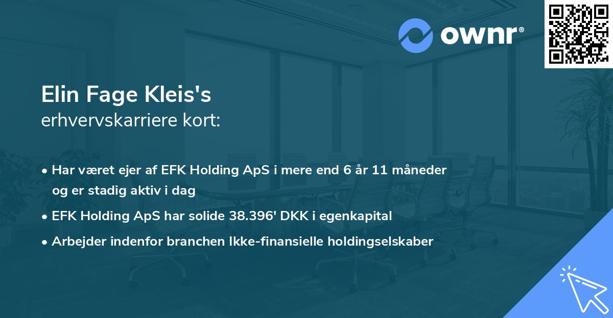 Elin Fage Kleis's erhvervskarriere kort