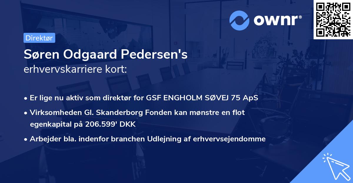 Søren Odgaard Pedersen's erhvervskarriere kort