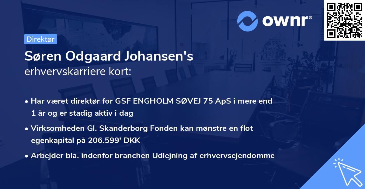 Søren Odgaard Johansen's erhvervskarriere kort