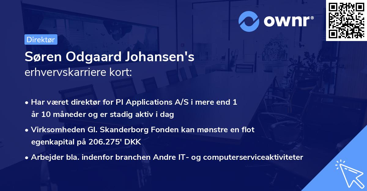 Søren Odgaard Johansen's erhvervskarriere kort