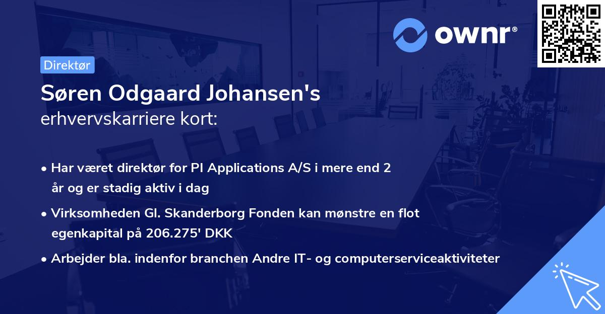 Søren Odgaard Johansen's erhvervskarriere kort