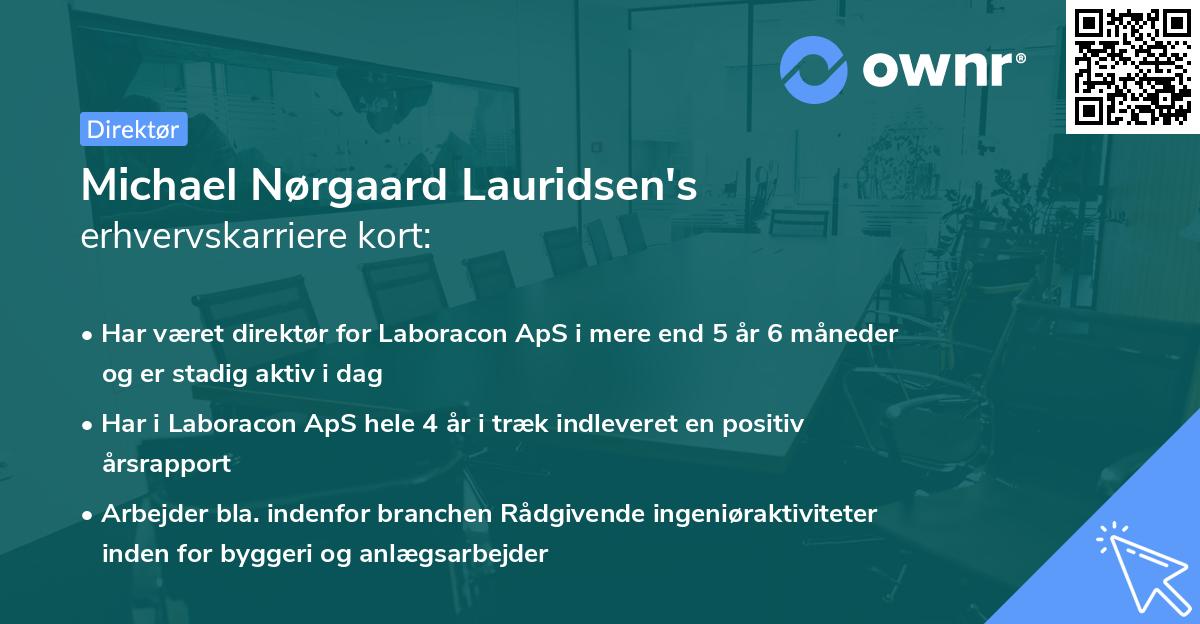Michael Nørgaard Lauridsen's erhvervskarriere kort