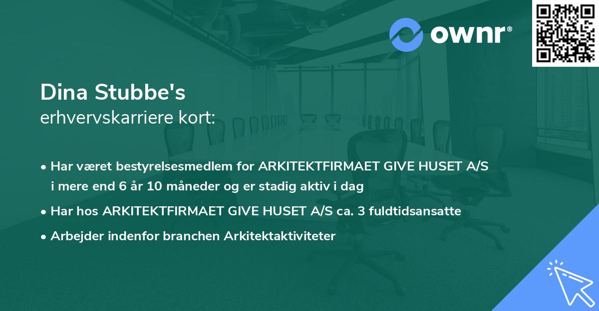 Dina Stubbe's erhvervskarriere kort