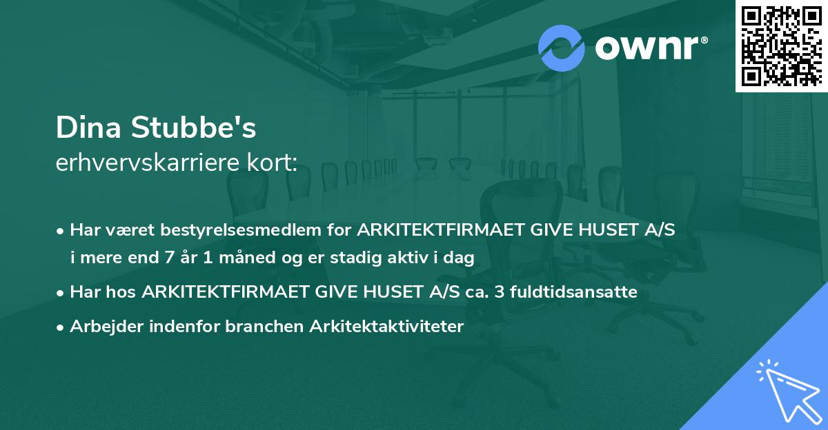 Dina Stubbe's erhvervskarriere kort