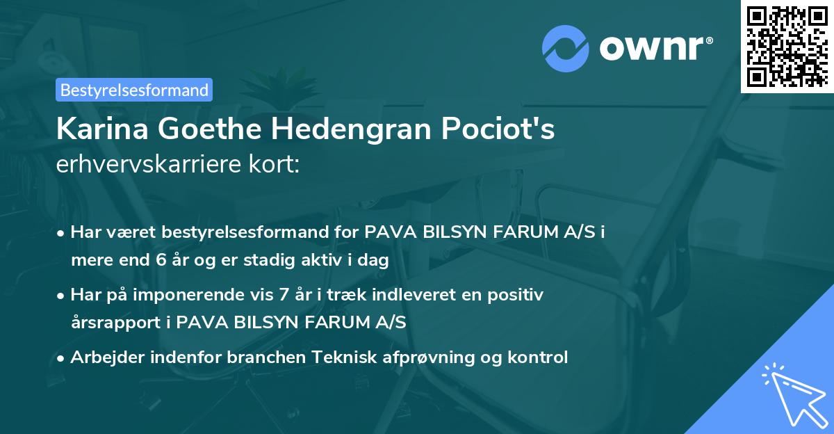 Karina Goethe Hedengran Pociot's erhvervskarriere kort