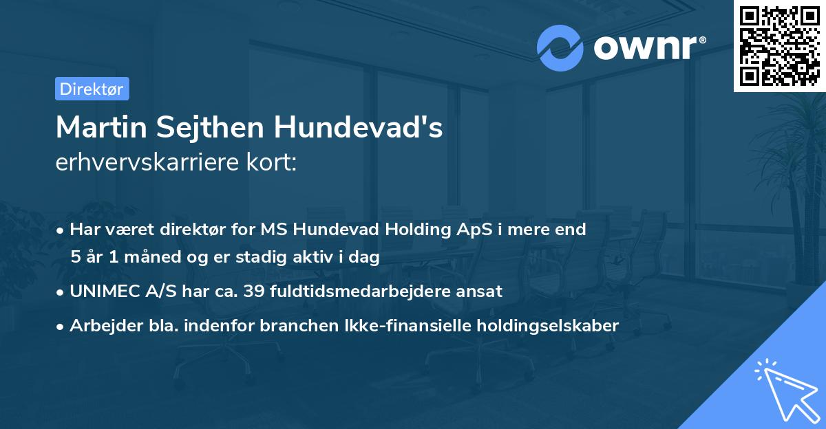 Martin Sejthen Hundevad's erhvervskarriere kort