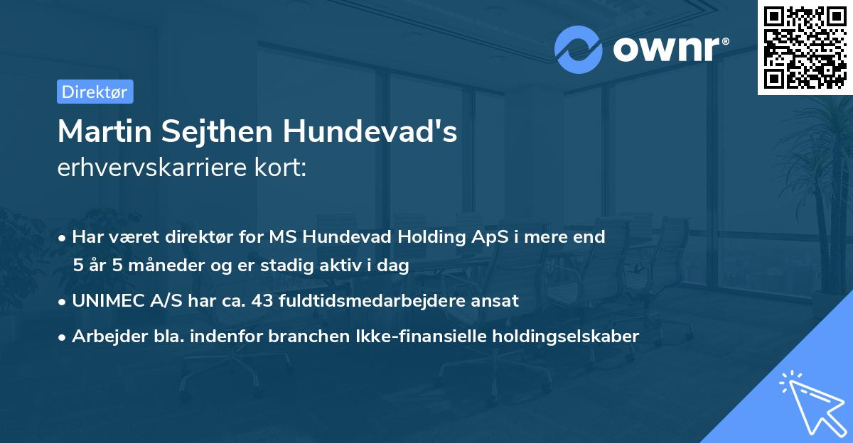 Martin Sejthen Hundevad's erhvervskarriere kort