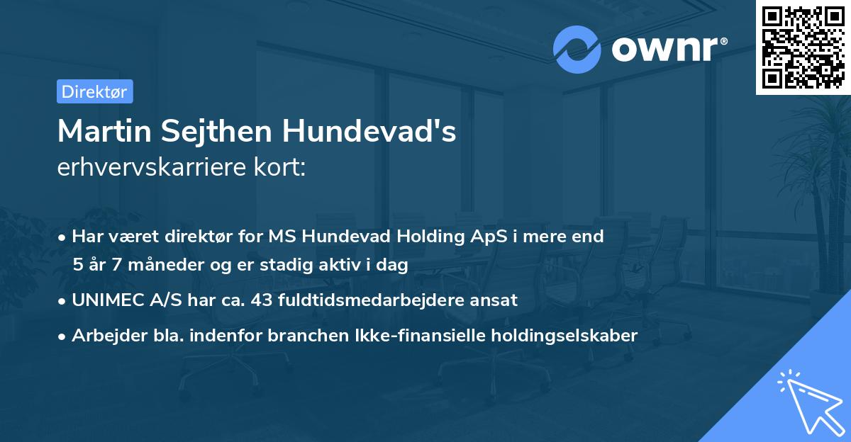Martin Sejthen Hundevad's erhvervskarriere kort