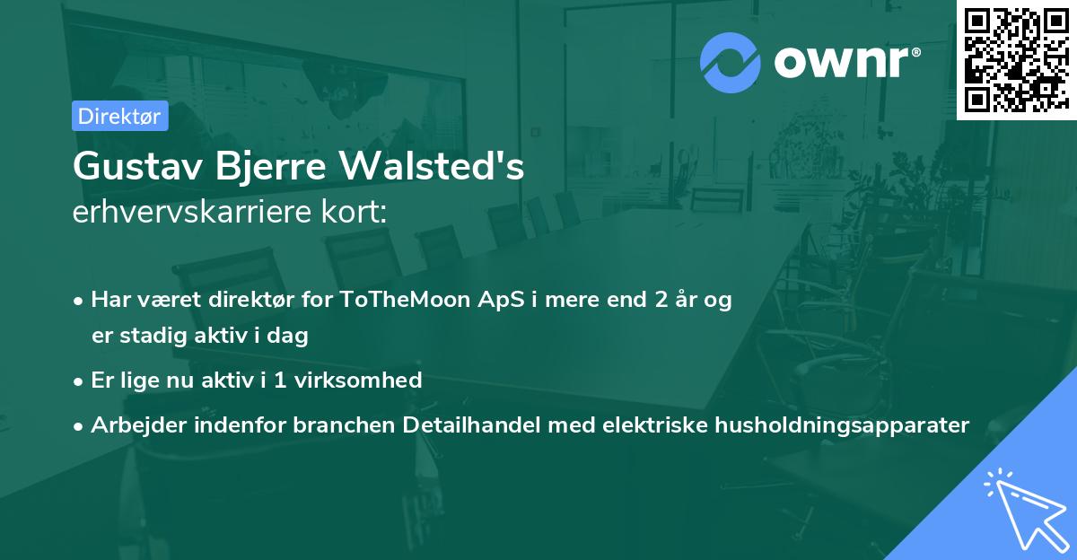 Gustav Bjerre Walsted's erhvervskarriere kort