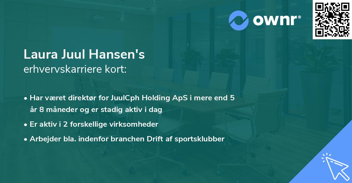 Laura Juul Hansen's erhvervskarriere kort