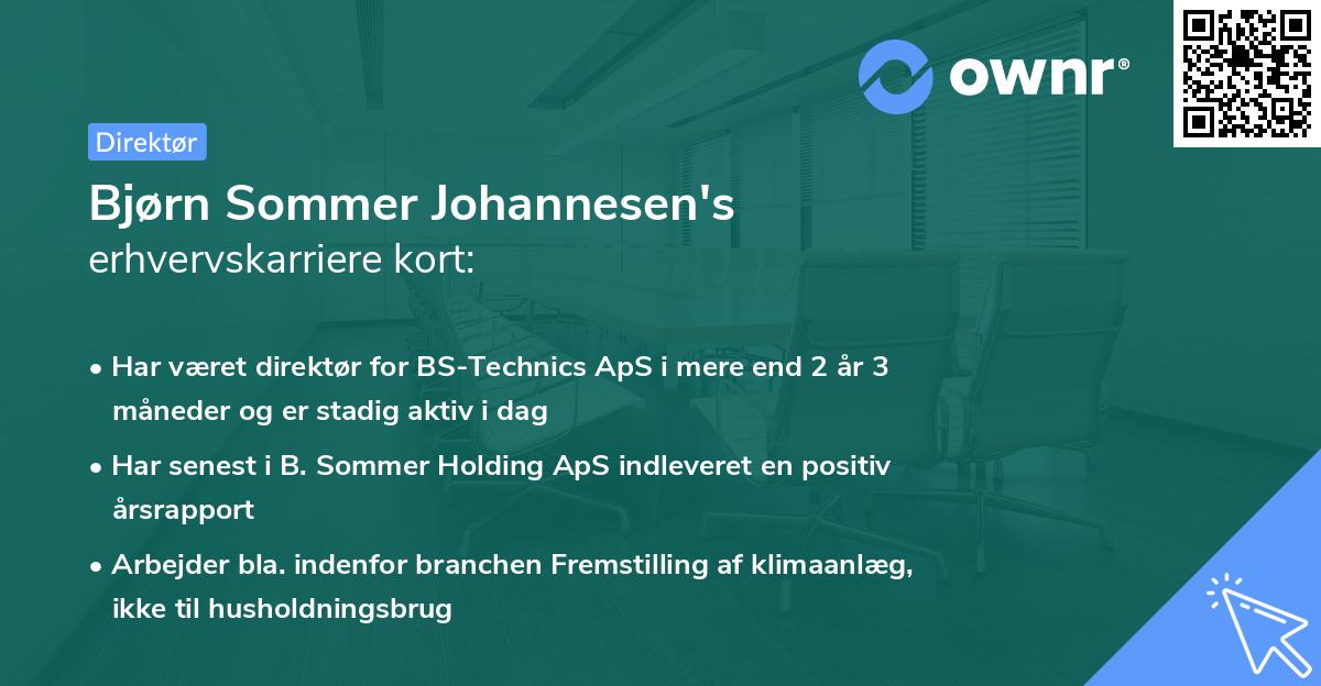 Bjørn Sommer Johannesen's erhvervskarriere kort