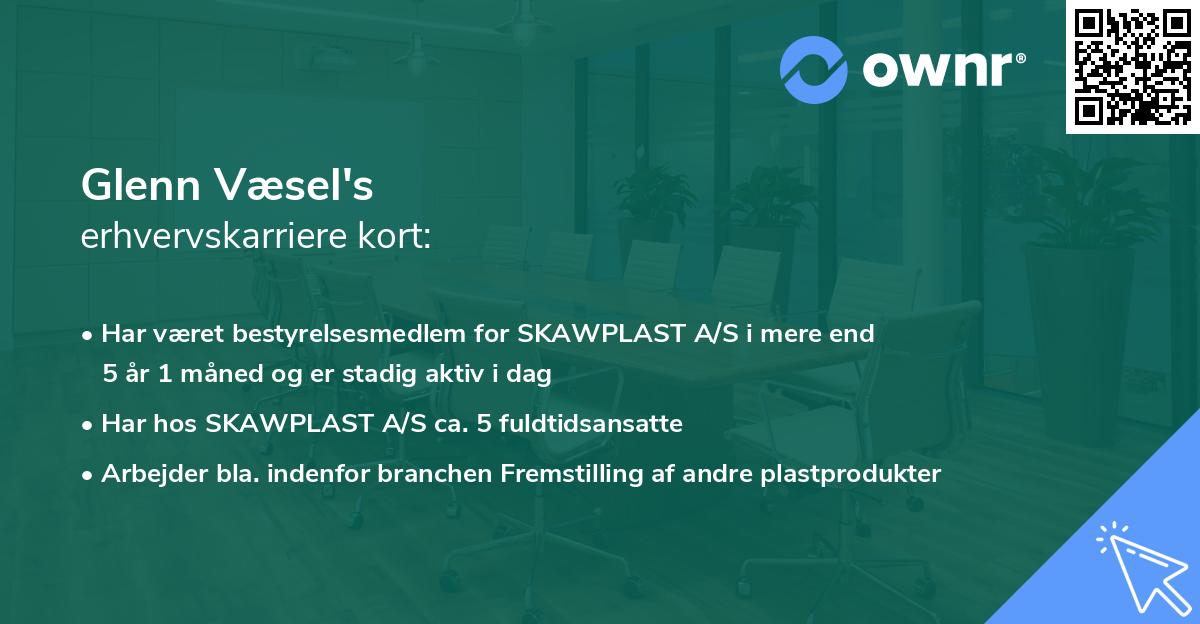 Glenn Væsel's erhvervskarriere kort