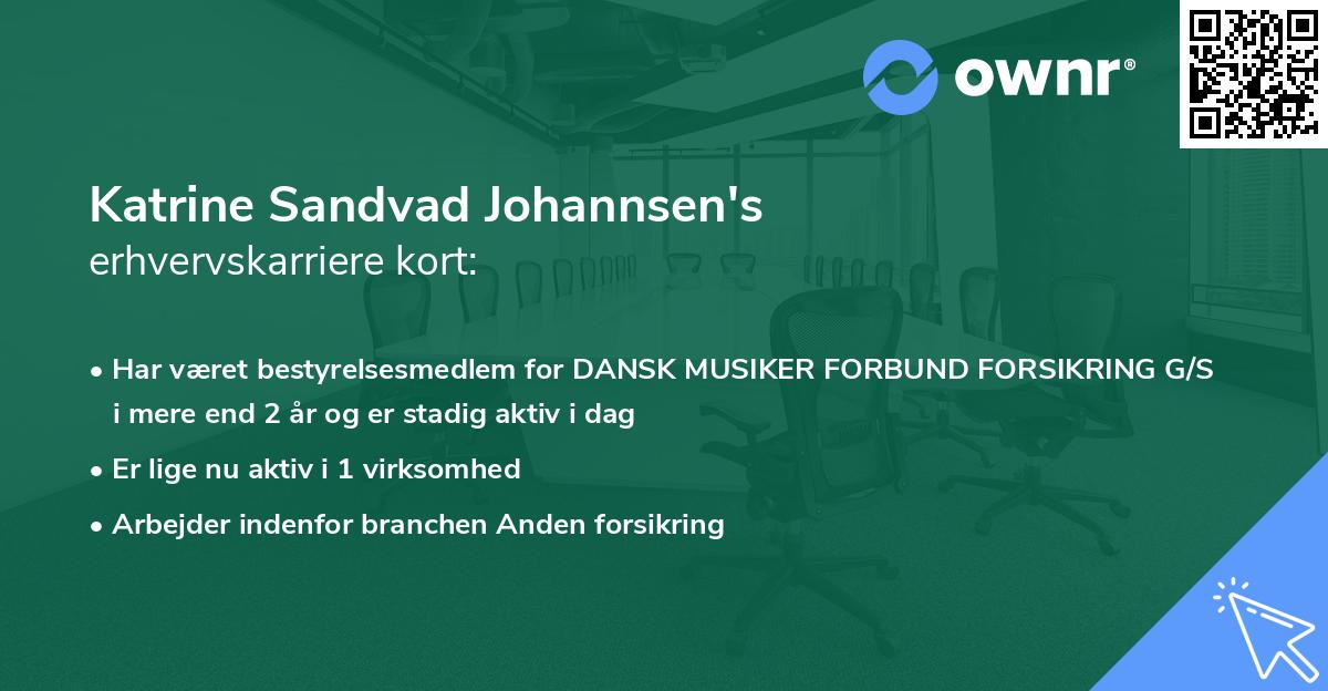 Katrine Sandvad Johannsen's erhvervskarriere kort