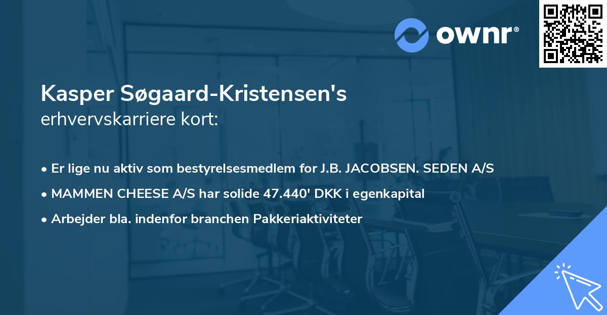 Kasper Søgaard-Kristensen's erhvervskarriere kort