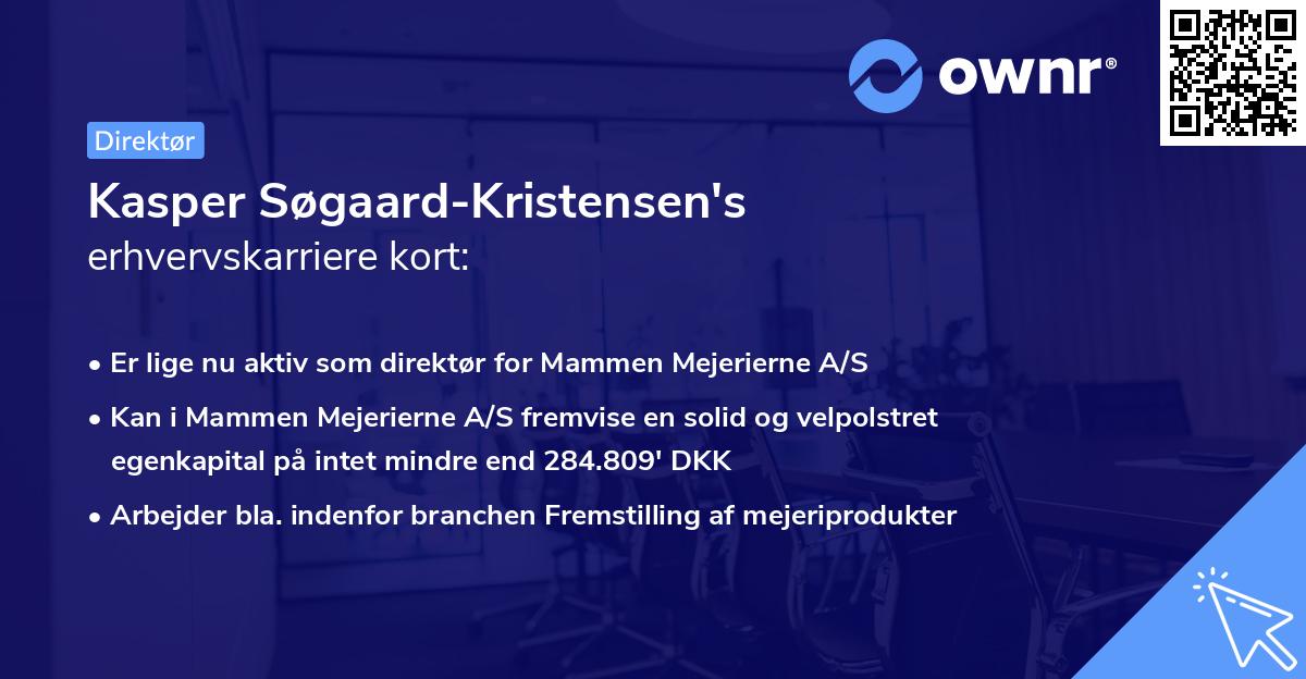 Kasper Søgaard-Kristensen's erhvervskarriere kort