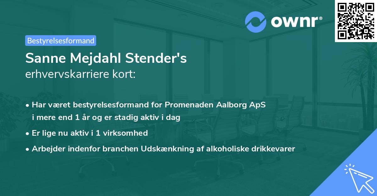 Sanne Mejdahl Stender's erhvervskarriere kort