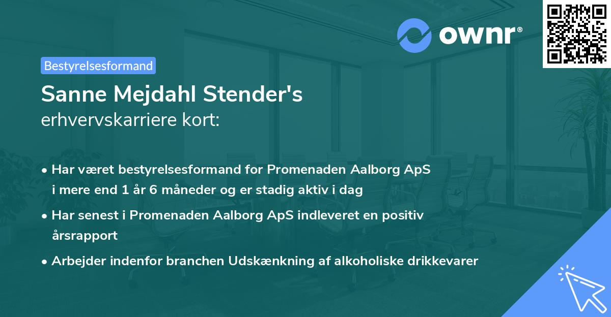 Sanne Mejdahl Stender's erhvervskarriere kort