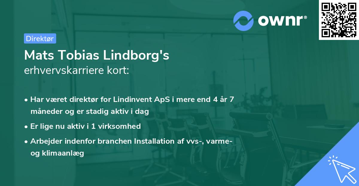 Mats Tobias Lindborg's erhvervskarriere kort