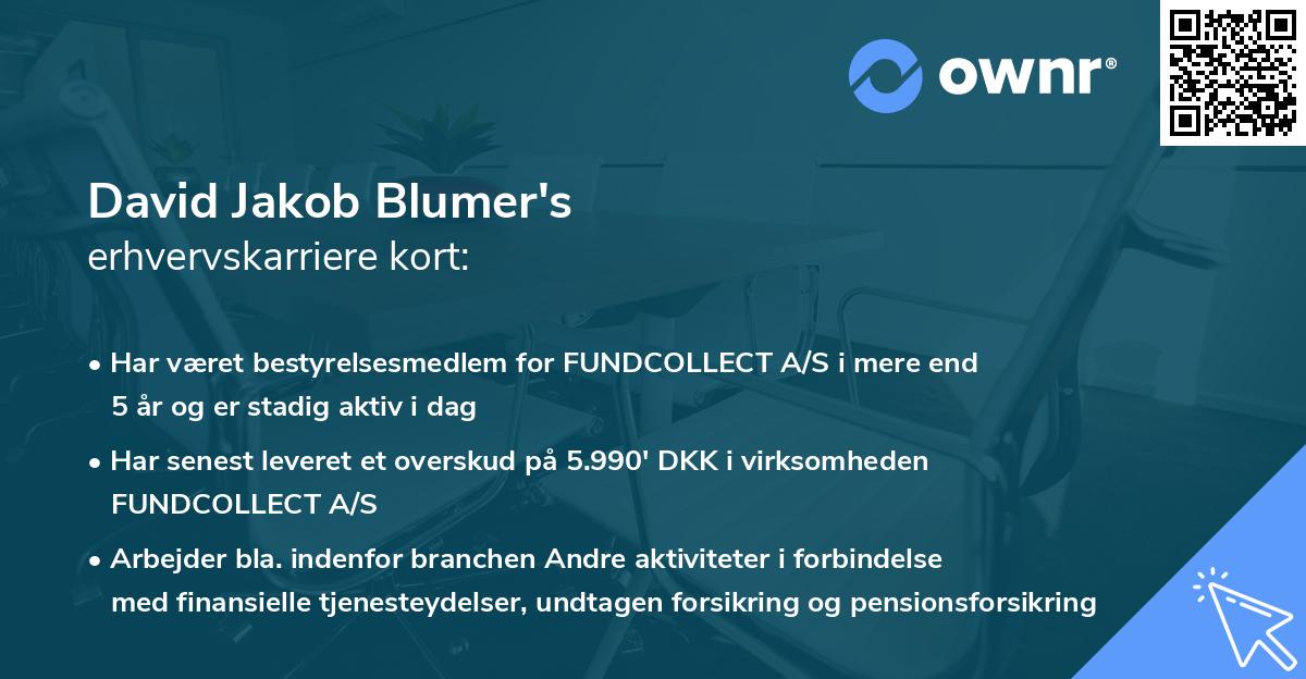 David Jakob Blumer's erhvervskarriere kort