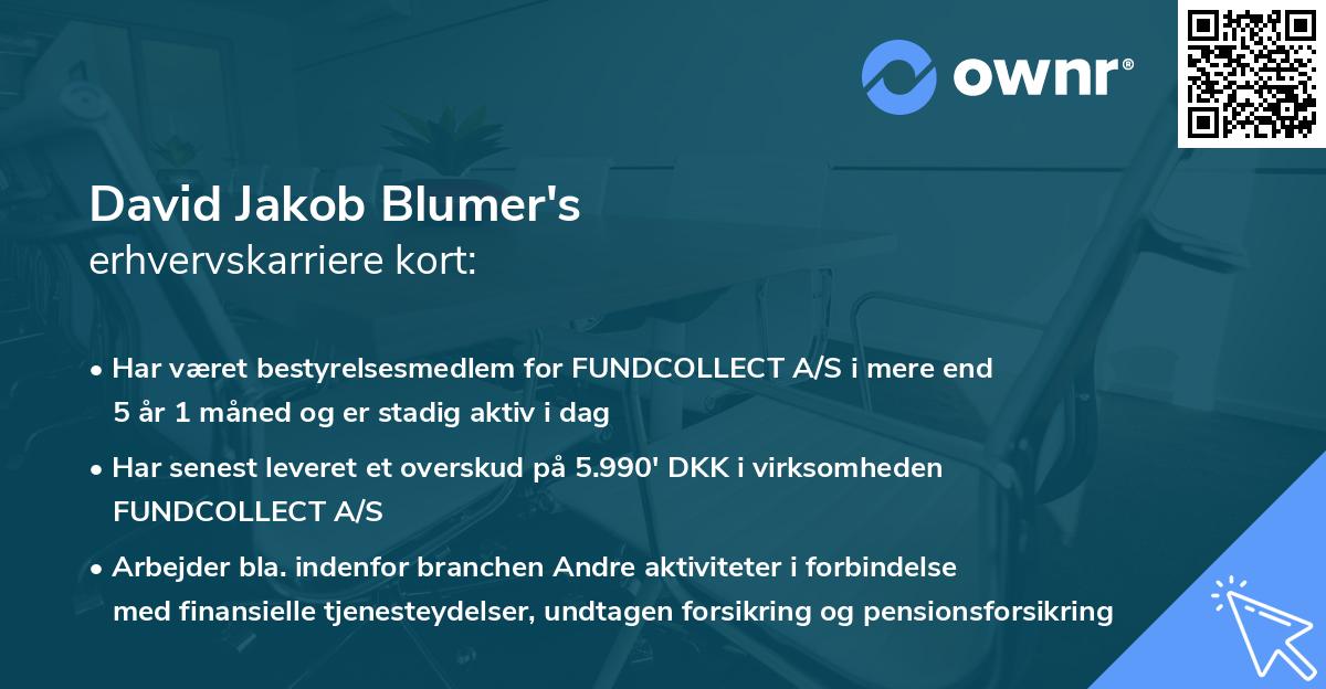 David Jakob Blumer's erhvervskarriere kort