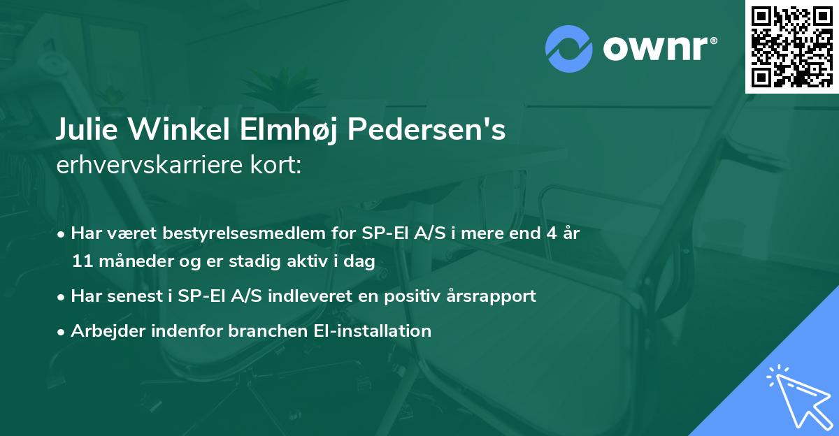 Julie Winkel Elmhøj Pedersen's erhvervskarriere kort
