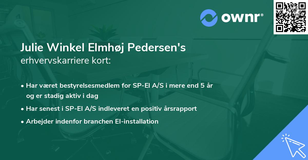 Julie Winkel Elmhøj Pedersen's erhvervskarriere kort