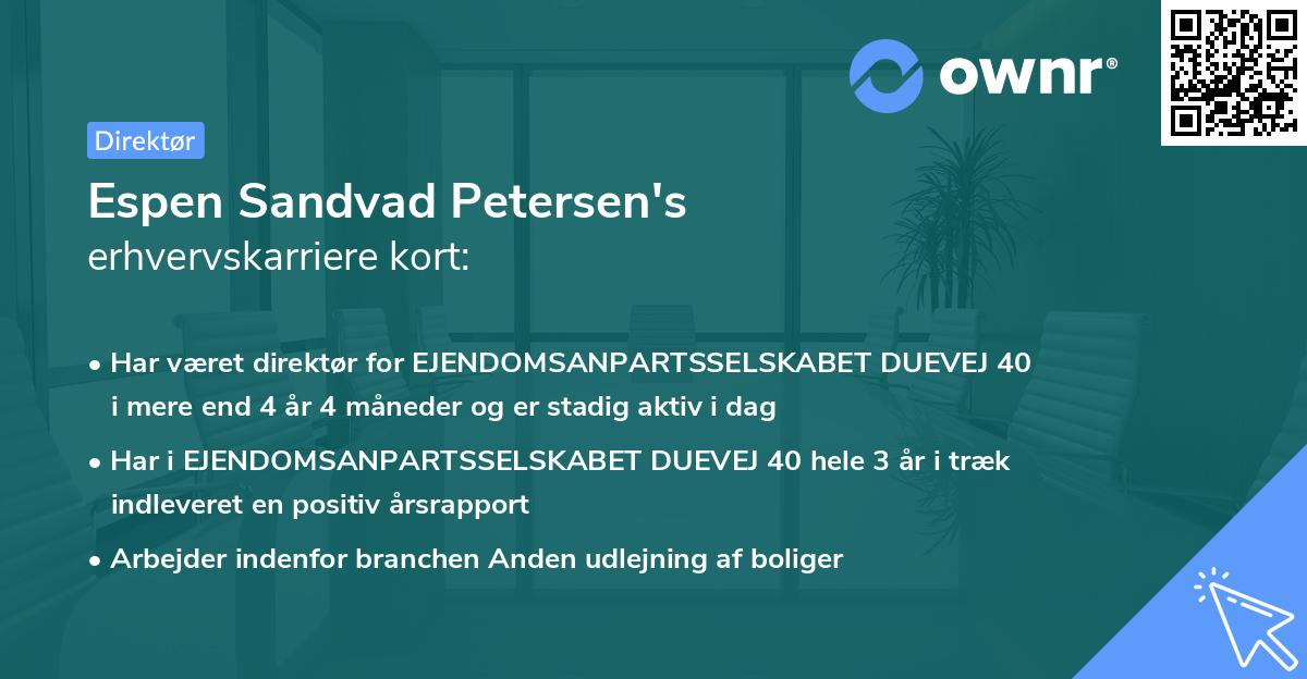 Espen Sandvad Petersen's erhvervskarriere kort