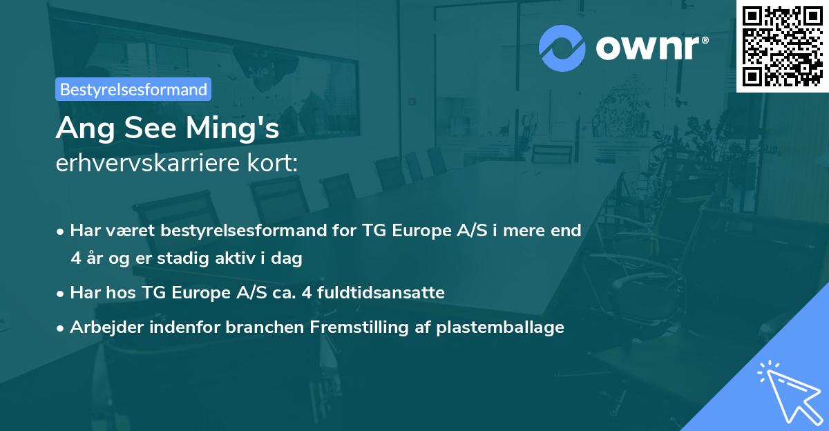 Ang See Ming's erhvervskarriere kort