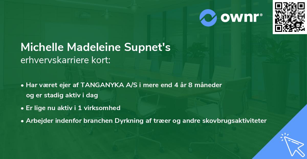 Michelle Madeleine Supnet's erhvervskarriere kort