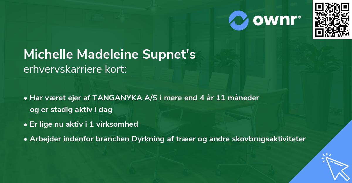 Michelle Madeleine Supnet's erhvervskarriere kort