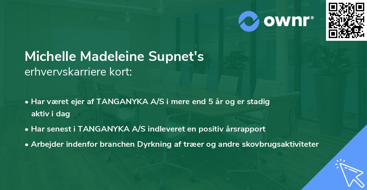 Michelle Madeleine Supnet's erhvervskarriere kort