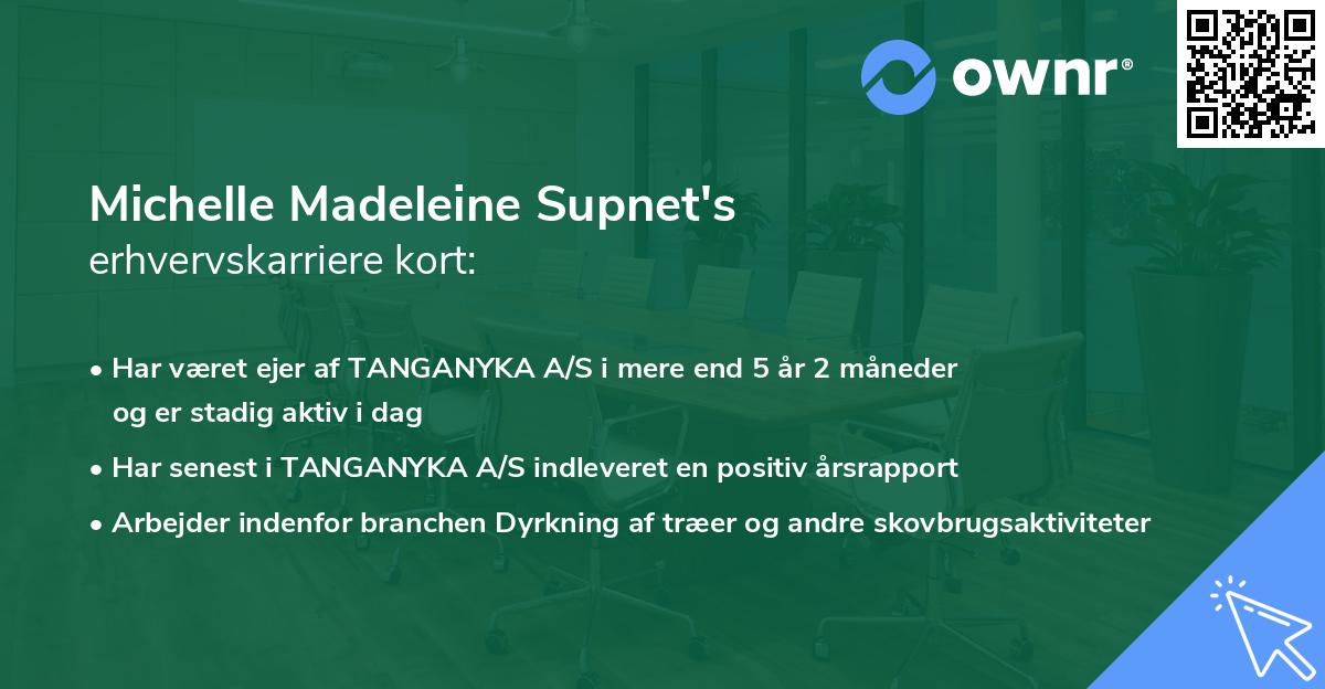 Michelle Madeleine Supnet's erhvervskarriere kort