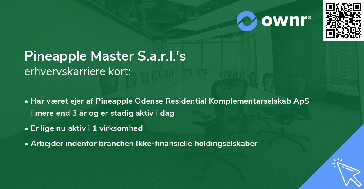 Pineapple Master S.a.r.l.'s erhvervskarriere kort