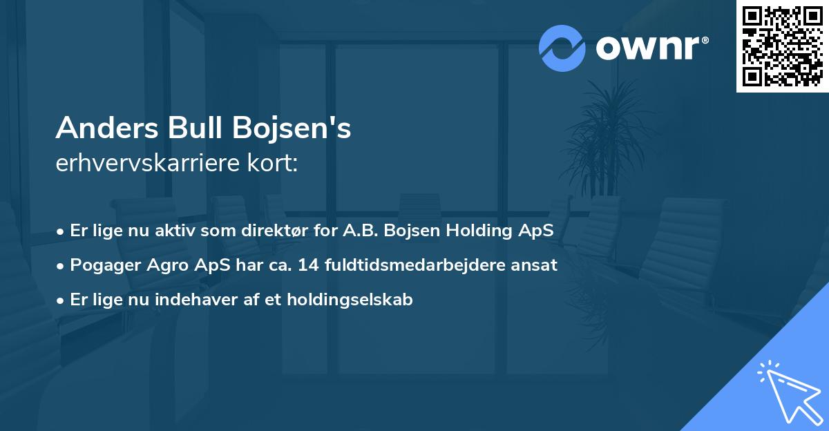 Anders Bull Bojsen's erhvervskarriere kort