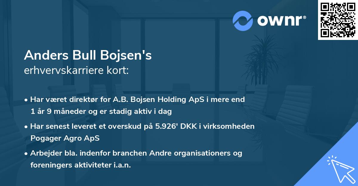 Anders Bull Bojsen's erhvervskarriere kort