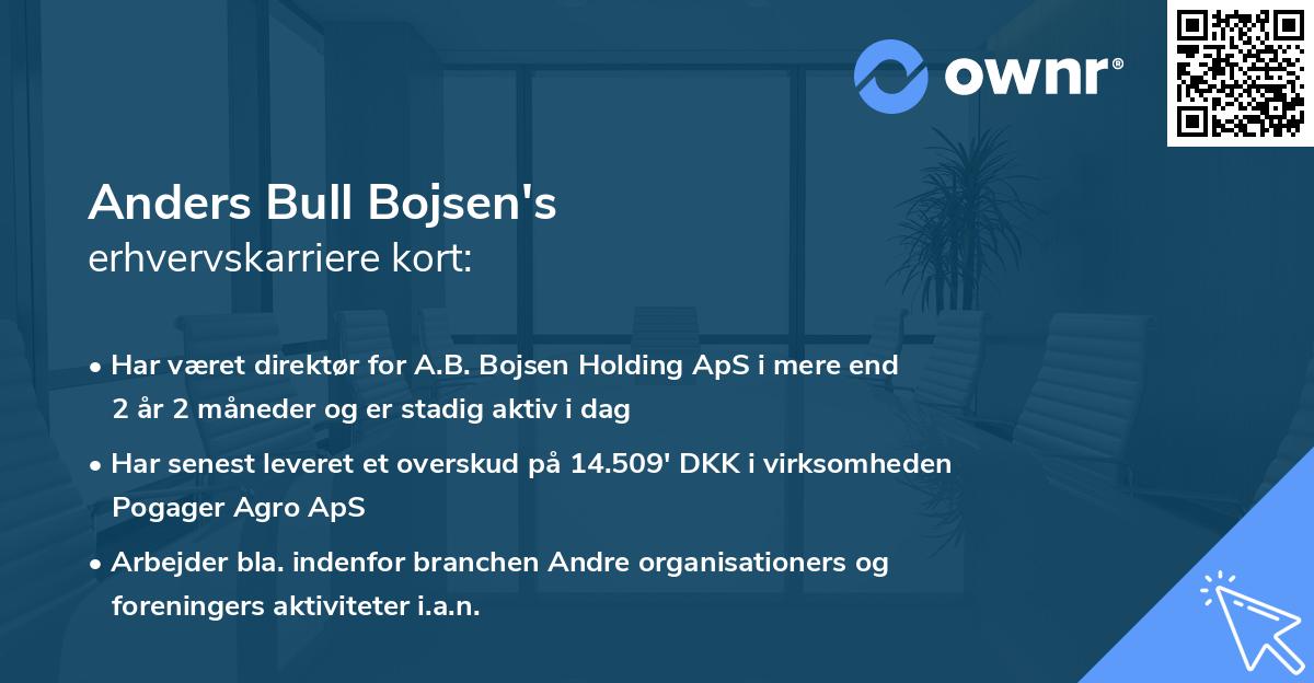 Anders Bull Bojsen's erhvervskarriere kort