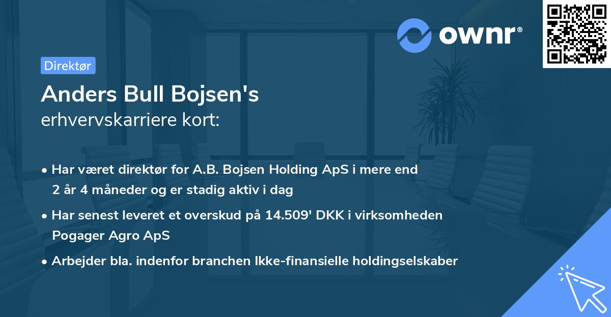 Anders Bull Bojsen's erhvervskarriere kort