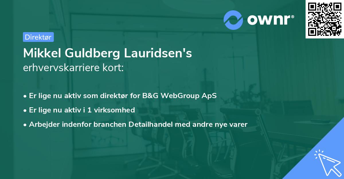Mikkel Guldberg Lauridsen's erhvervskarriere kort