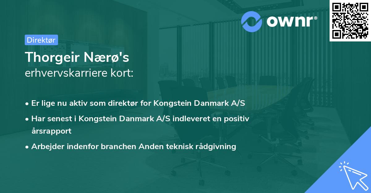 Thorgeir Nærø's erhvervskarriere kort