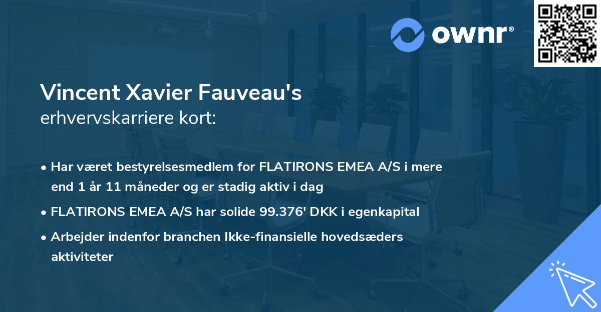 Vincent Xavier Fauveau's erhvervskarriere kort