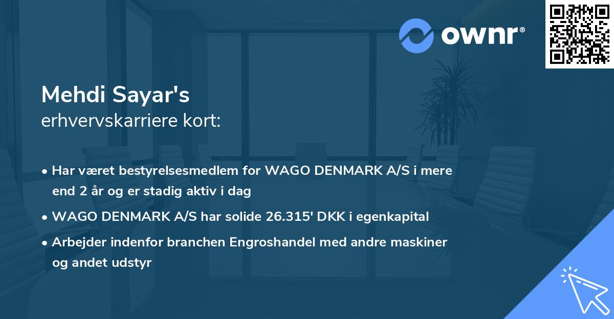 Mehdi Sayar's erhvervskarriere kort