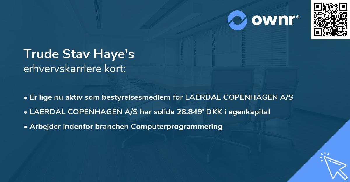 Trude Stav Haye's erhvervskarriere kort