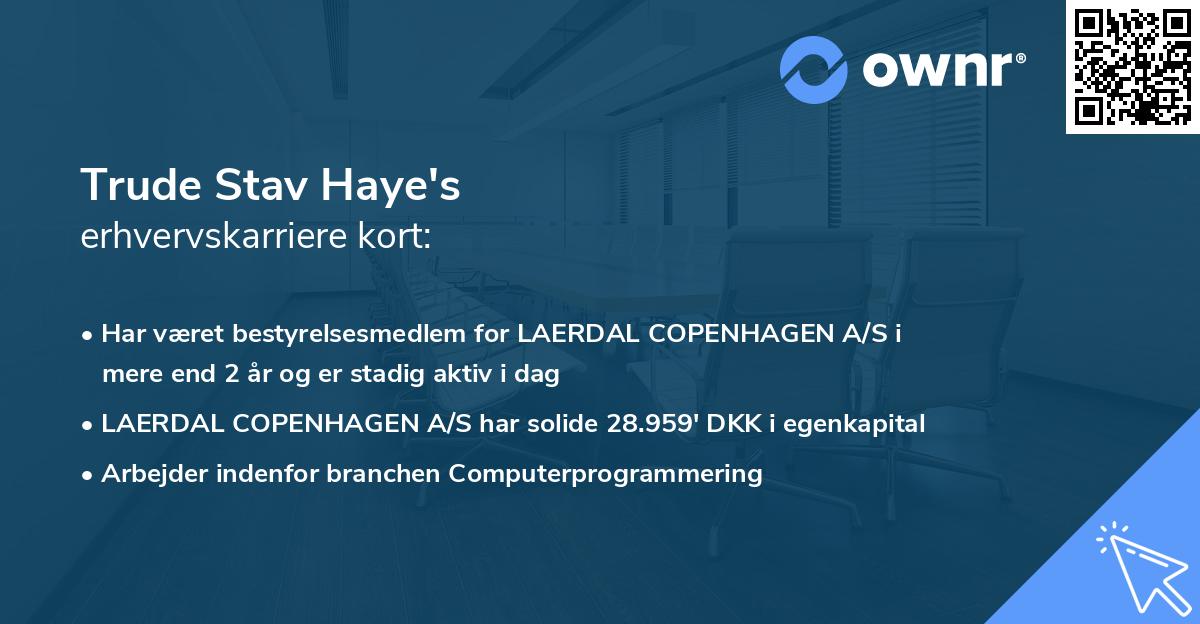 Trude Stav Haye's erhvervskarriere kort