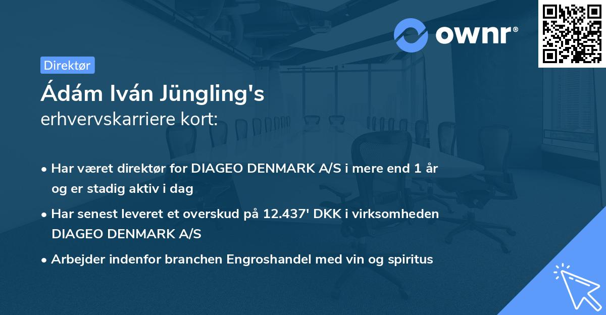 Ádám Iván Jüngling's erhvervskarriere kort