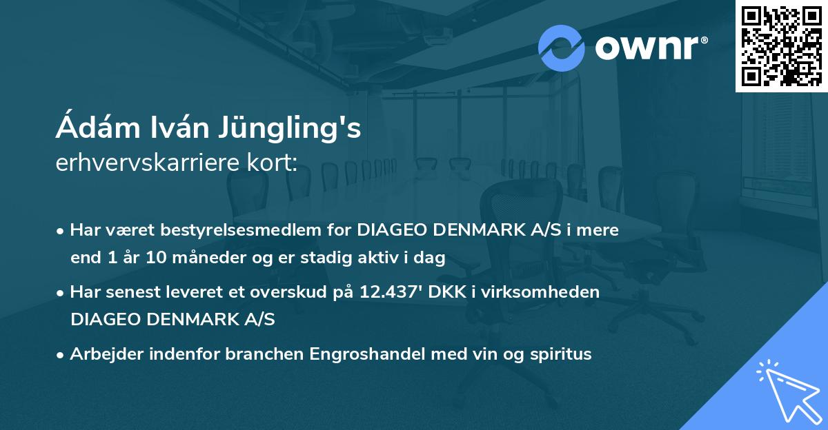 Ádám Iván Jüngling's erhvervskarriere kort