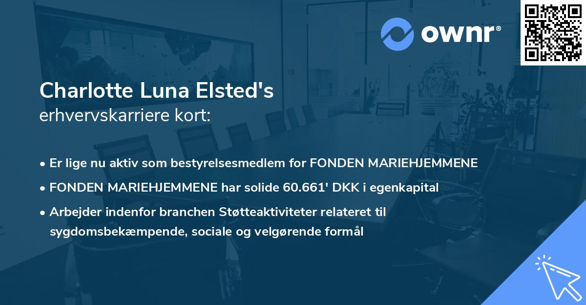 Charlotte Luna Elsted's erhvervskarriere kort